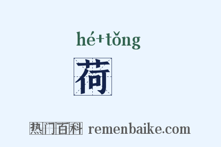 荷筩是什么意思的图片